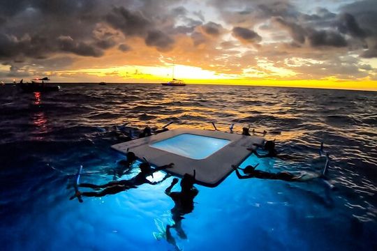 Manta Ray Night Snorkel Tour in Kailua-Kona, Big Island