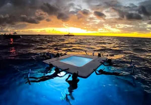 Manta Ray Night Snorkel Tour in Kailua-Kona, Big Island