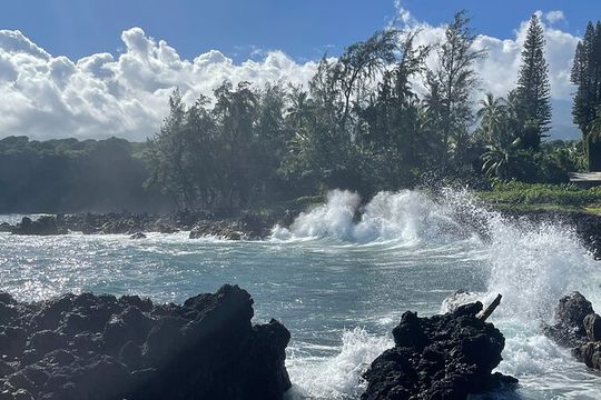 Hana Private Road Tour up to13 passengers