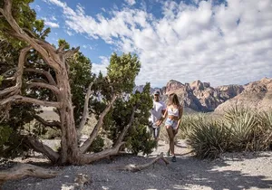 Red Rock Canyon Scooter Tour from Las Vegas