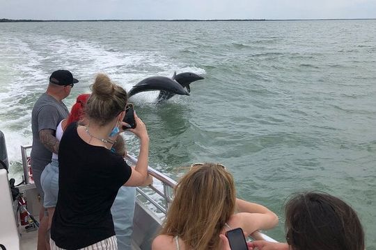 10,000 Islands Boat Excursion - 3.5-Hour Dolphins & Shelling Tour