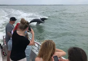 10,000 Islands Boat Excursion - 3.5-Hour Dolphins & Shelling Tour