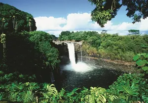 Hilo Cruise Ship Excursion: Volcanoes National Park Rainbow Falls