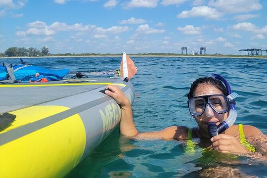 Beginner Friendly Island Snorkeling
