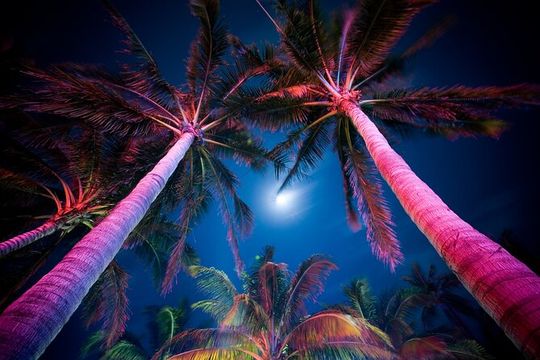 Miami Moonlight Magic Private Tour: A Nightlife Experience