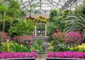 Longwood Gardens from Philadelphia Holiday Lights Tour