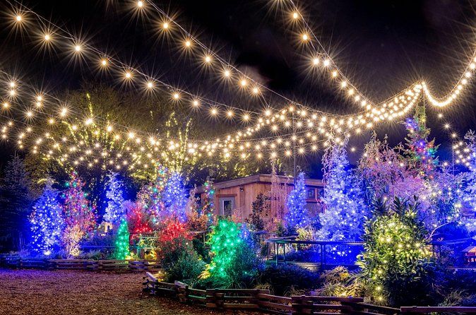 Longwood Gardens from Philadelphia Holiday Lights Tour