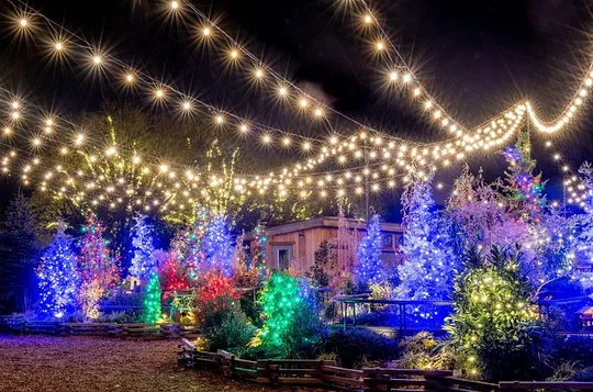 Longwood Gardens from Philadelphia Holiday Lights Tour