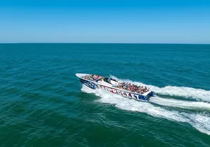 45-Minute Sea Rocket Speed Boat & Dolphin Cruise in Ocean City MD