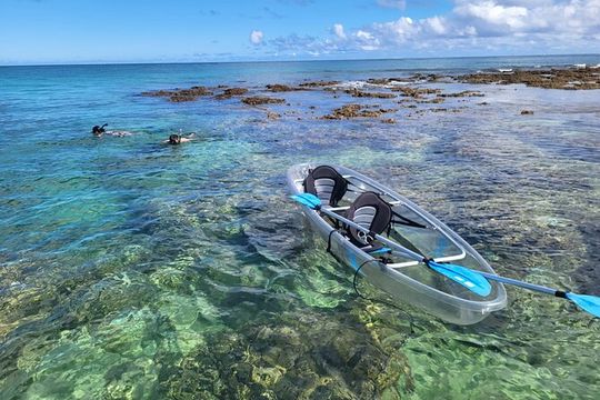 Clear Bottom Kayak - Guaranteed to see Turtles!