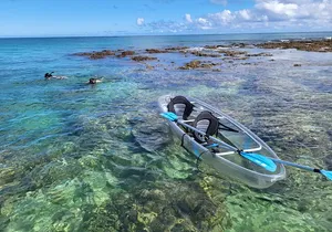 Clear Bottom Kayak - Guaranteed to see Turtles!