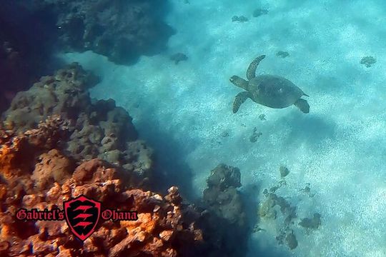 Clear Kayak Tour with Pontoons and Optional Snorkeling-Unlimited