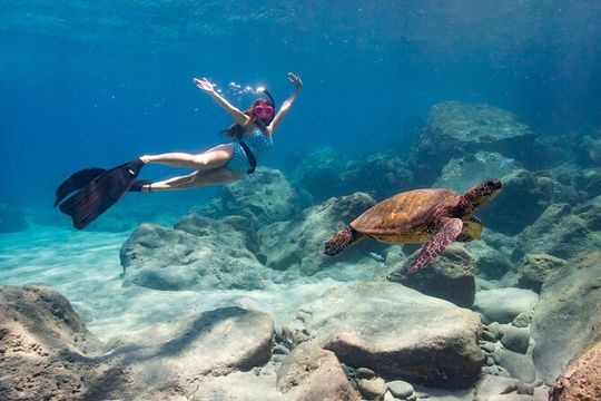 4 hour Private Custom Kayak Tour Lahaina