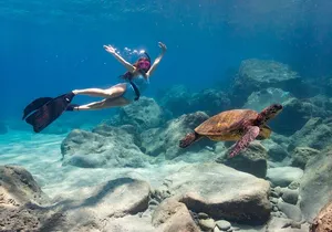 4 hour Private Custom Kayak Tour Lahaina