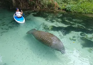 Nature & Island Exploration on SUP/Kayak