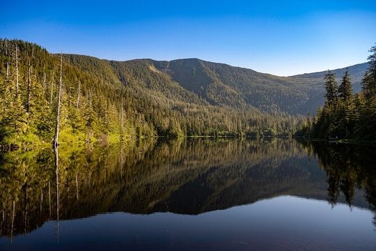 Ketchikan Mountain Lake Trek to Avalanche Chute