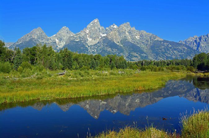 Grand Teton and Yellowstone Self-Guided Driving Tours Bundle