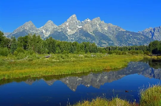 Grand Teton and Yellowstone Self-Guided Driving Tours Bundle