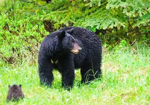 Customizable Private Tour in Ketchikan with Pick Up