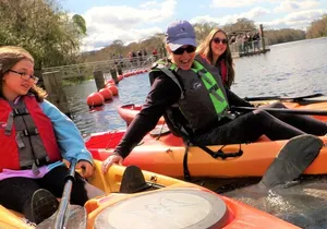 Blue Springs Manatee Tours & Wildlife Adventure Orlando