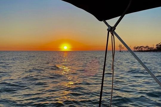 Manatee, Dolphin and 10,000 Islands Sunset Cruise!