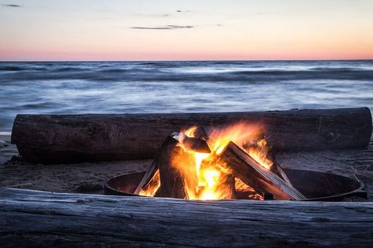 Half-Day Private Guided Nature of Florida’s Gulf Coast Eco Tour