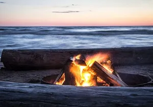 Half-Day Private Guided Nature of Florida’s Gulf Coast Eco Tour