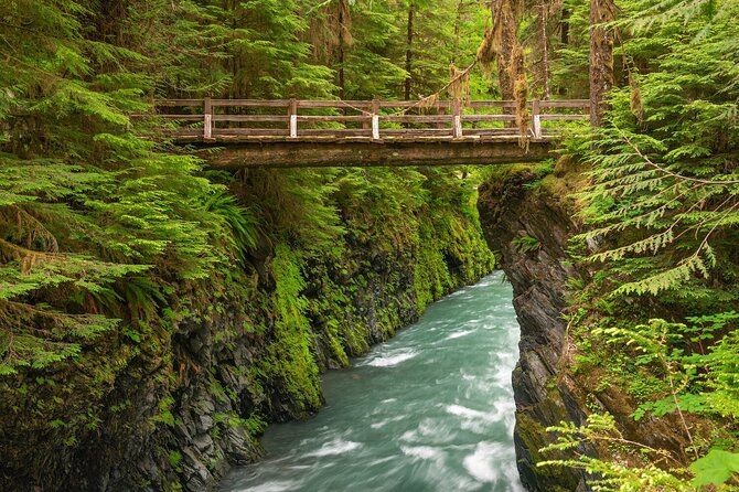 Explore Olympic National Park from Seattle through Van /Ferry