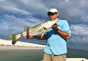 Half-Day Private Guided Fishing Charter to Florida’s Gulf Coast