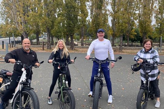 Self Guided Full Day E-bike Rental With Picnic Lunch