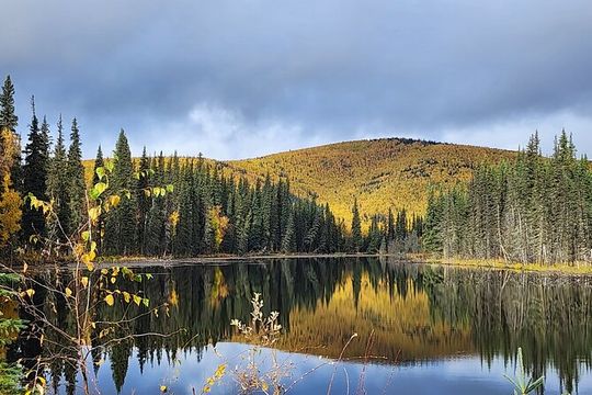 Angel Rocks Hike and Chena Hot-Springs Soak Guided Tour