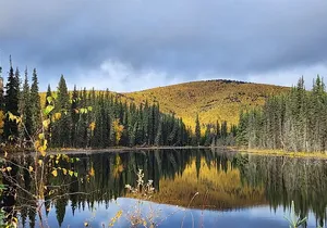 Angel Rocks Hike and Chena Hot-Springs Soak Guided Tour