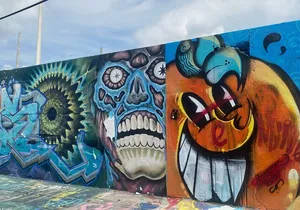 Little Havana and Wynwood Walls District Guided Tour