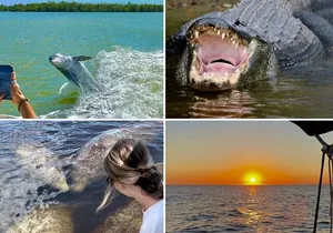 Manatee, Dolphin and 10,000 Islands Sunset Cruise!