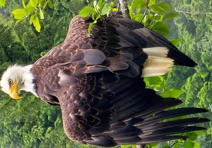 “OVER THE TOP TOURS” city highlights, wildlife and more!