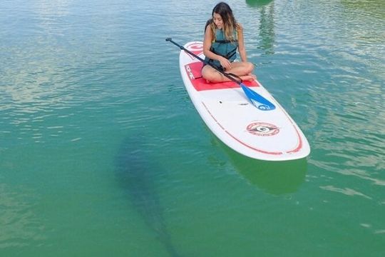 Kayak and SUP Rentals - Big Hickory Island - Fort Myers Beach, FL