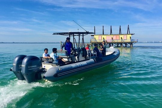Miami Small Group Boat Tour: History, Wildlife, and Stiltsville