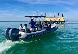 Miami Small Group Boat Tour: History, Wildlife, and Stiltsville