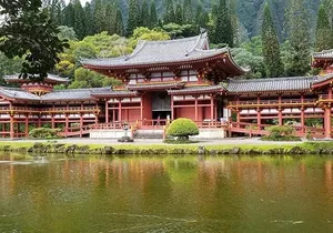 North Shore & Circle Island Tour (Not Private)