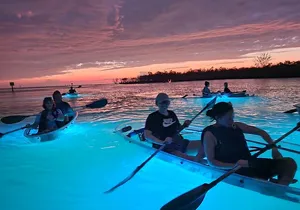 Sunset and Glow Clear Kayak Tour in North Naples