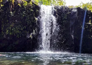 Halfway to Hana Tour of Maui Black Sand Beach Waterfalls Turtles