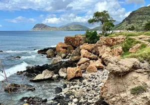 Electric Beach Snorkeling with Dolphins Tour