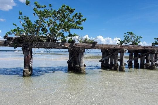 Sonnys Boat Tours Full Day Sand Bar Adventure Englewood, Florida