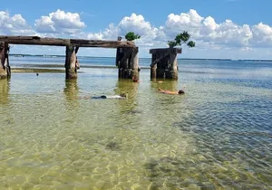 Sonnys Boat Tours Full Day Sand Bar Adventure Englewood, Florida