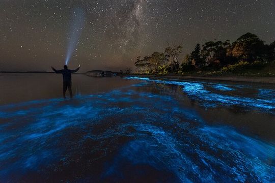 Florida Bioluminescent Kayak & Paddle Board Adventure