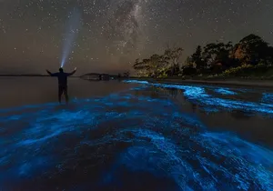 Florida Bioluminescent Kayak & Paddle Board Adventure