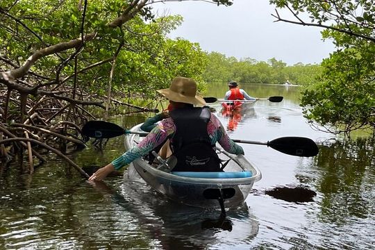 Self-Guided Island Tour: CLEAR/Standard Kayak, SUP-Bonita Springs