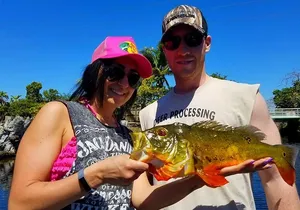 All Day Peacock Bass Fishing Trip near Key Largo