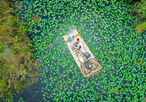 1 hr Private Airboat Everglades Tour near Miami