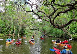 Dora Canal Half-Day Kayak and Paddle Board Rental Adventure
